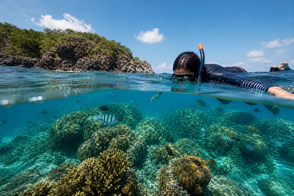 Coral Reef Tourism: Exploring Nature�s Underwater Paradise Responsibly